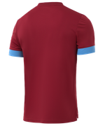 Футболка игровая DIVISION PerFormDRY Union Jersey, гранатовый/голубой/белый