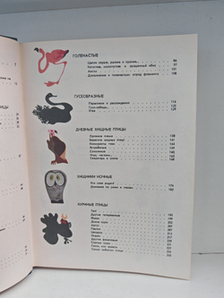 Мир животных. Рассказы о птицах