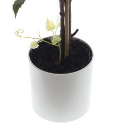 GAEM Дерево искусственное "Виноград", L35 W35 H123 см