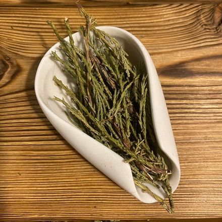 Можжевельник