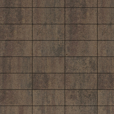 Тротуарная плитка ПРЯМОУГОЛЬНИК 300х150 мм - Листопад гладкий Шелковица