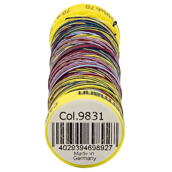 Нитки отделочные Gutermann Deco Stitch multicolor 70 (70 метров), 5 кат. | 9831