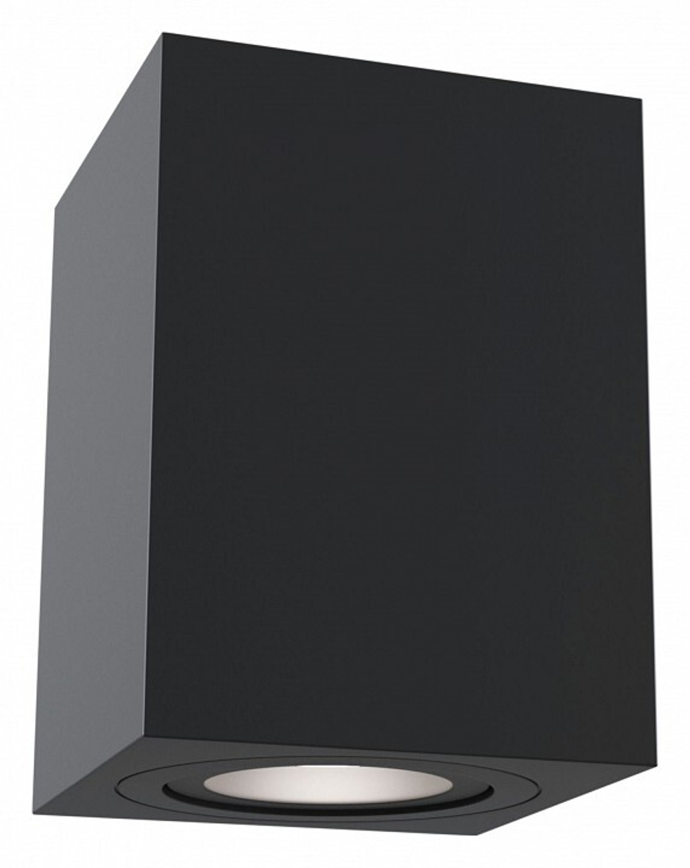 Накладной светильник Maytoni Technical C017CL-01B