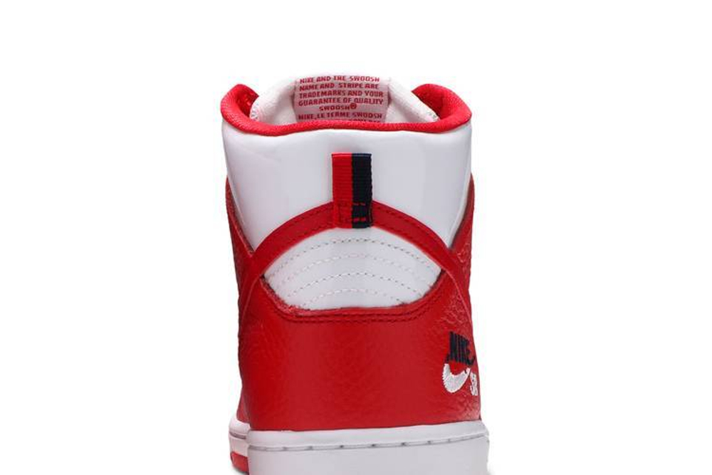 Кроссовки Nike Dunk Sb Future Court Red