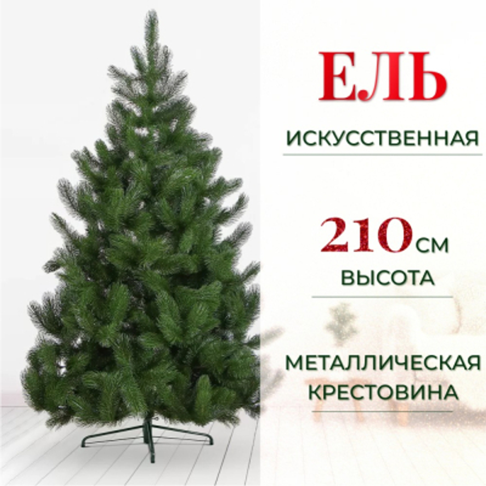 Сосна Царь-Елка Крымская 210 см