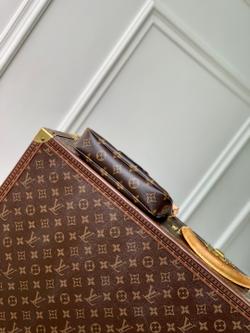 Louis Vuitton Pochette Accessoires