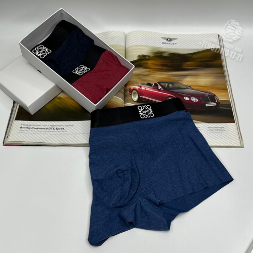 Боксеры Loewe