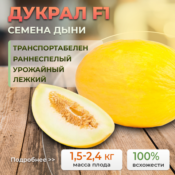 ДУКРАЛ F1 семена дыни (Rijk Zwaan | Alexagro)