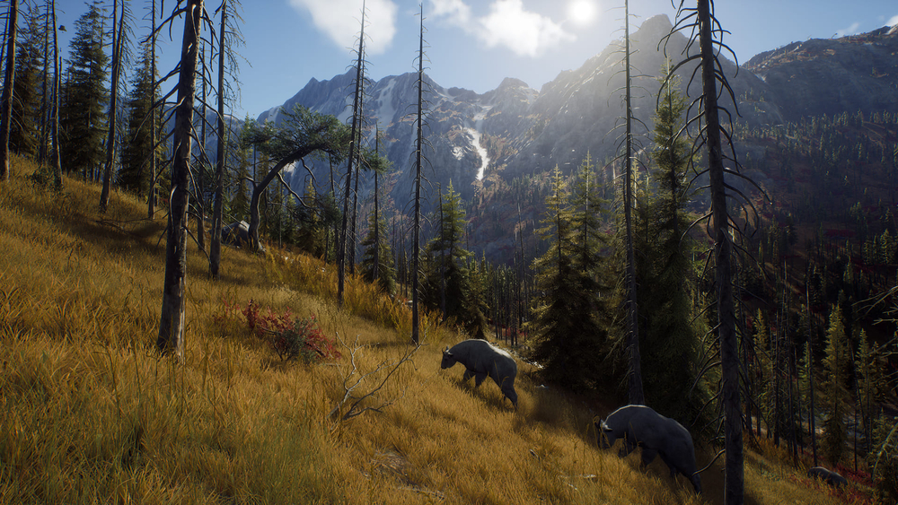 Way of the Hunter (для ПК, цифровой код доступа)
