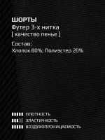 Спортивные шорты для мальчика на лето