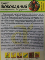 Томат Шоколадный 0,05 г СМТ-57
