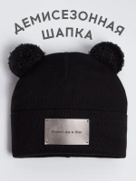 Шапка для мальчика с ушками на осень