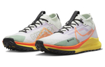 Кроссовки Nike Pegasus Trail 4 Gore-Tex