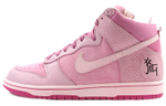 Кроссовки Nike Dunk Year Of The Pig'
