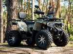 Квадроцикл YAMAHA Shark 300cc