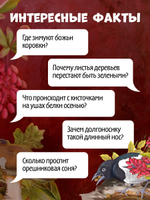 Удивительные энциклопедии. Секреты осеннего леса. Визуальная энциклопедия