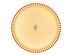 Ambrella Потолочный светодиодный светильник с пультом Crystal FF97