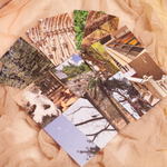 Набор "Фотопленка" 📌