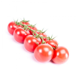 Татами F1 семена томата (Rijk Zwaan / Райк Цваан)