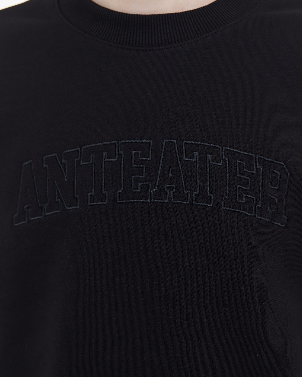 Толстовка ANTEATER Crewneck-Black