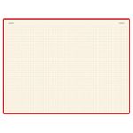 Блокнот МАЛЫЙ ФОРМАТ (90х130 мм) А6, 100 л., твердый, балакрон, на резинке, BRUNO VISCONTI, Красный, 3-102/04