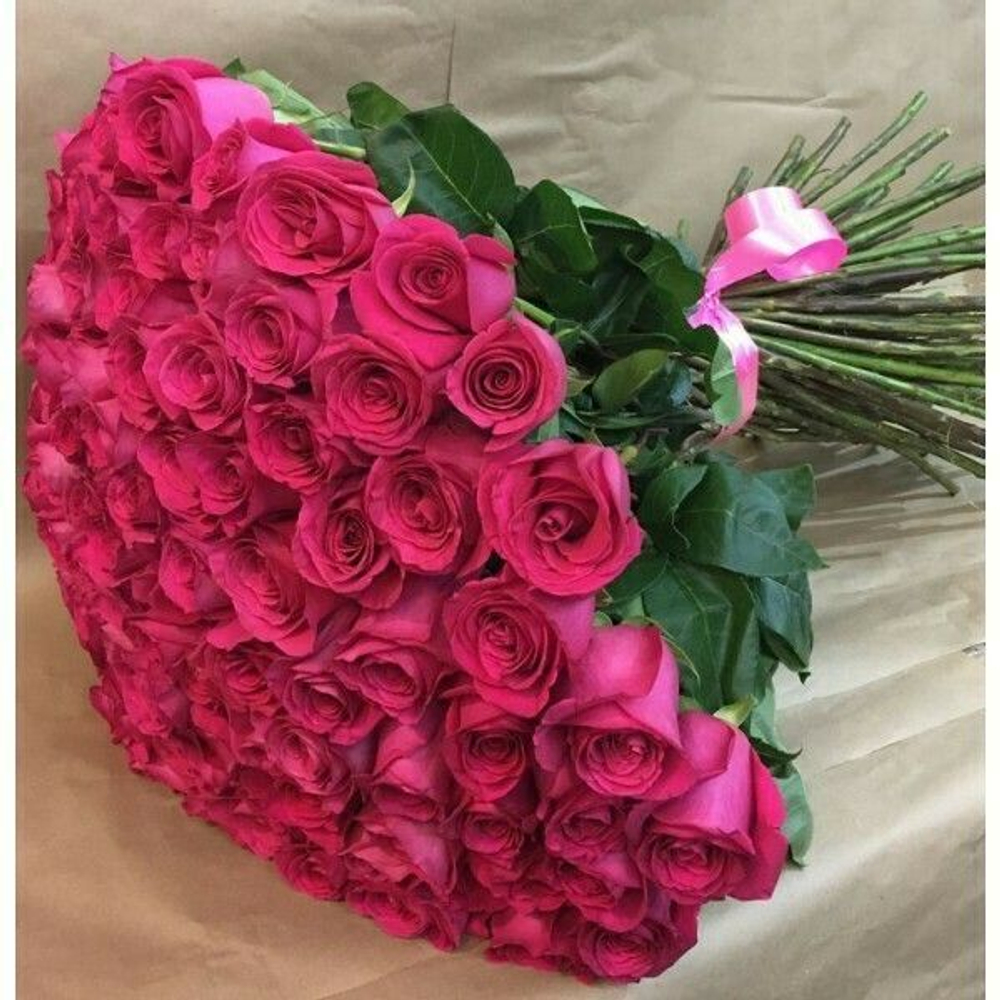 Малиновые розы Эквадор 50см