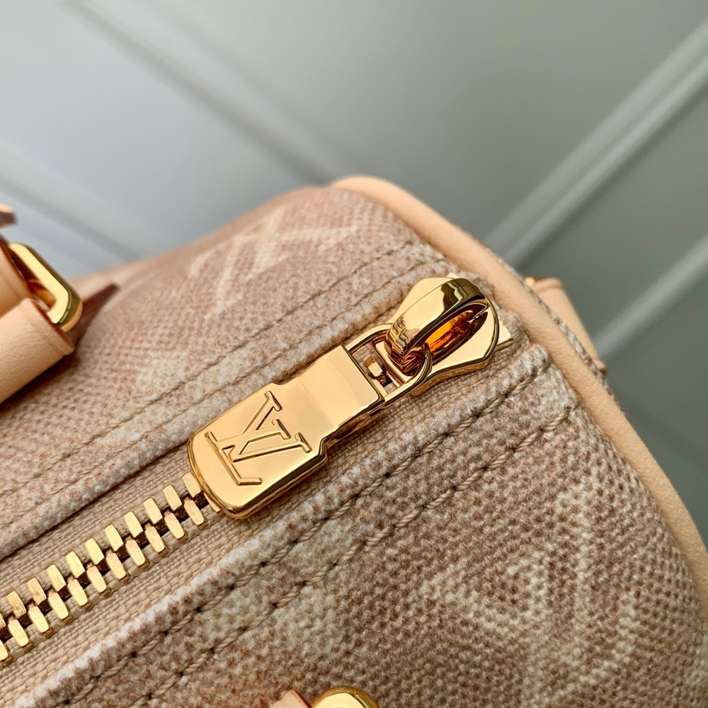 Louis Vuitton Speedy Bandouliere 20