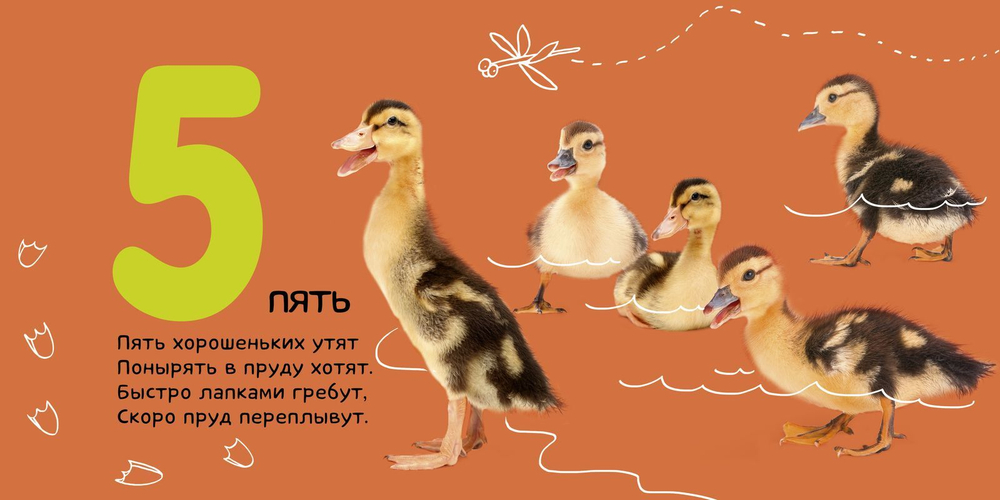 Числа. Солнечная фото-книга (переиздание)