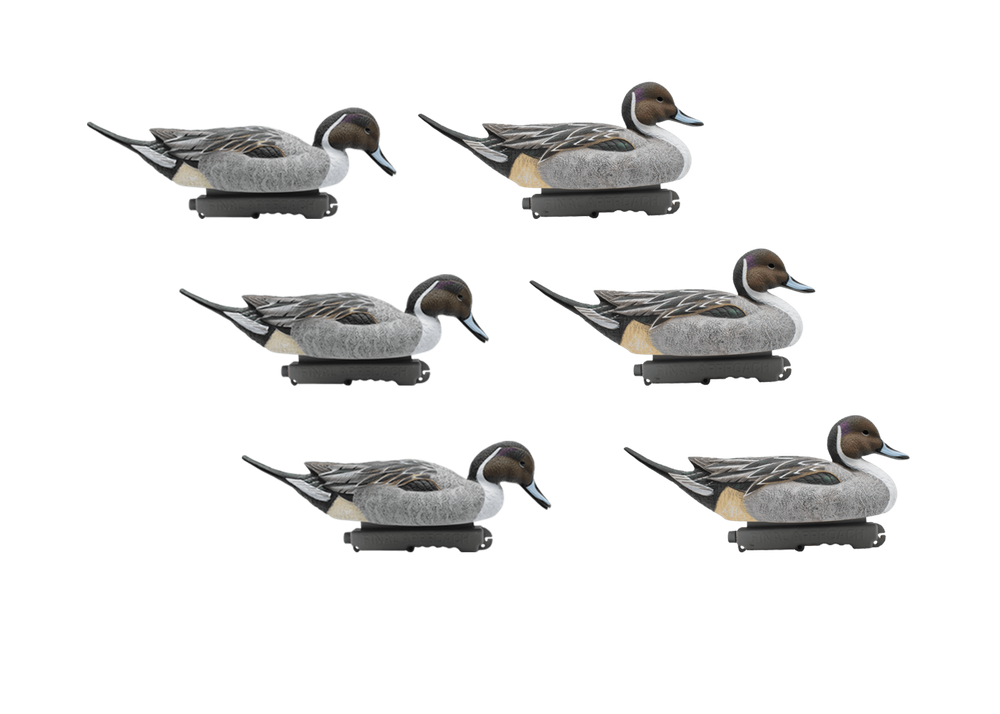 Шилохвость селезень "FA LAST PASS PINTAIL FLOATERS" (12 селезней) FA-233520