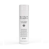 Шампунь для окрашенных и поврежденных волос PH 5.5 Be Hair Be Color After Colour Shampoo 300мл