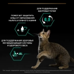 Сухой корм Индейка, для стерилизованных кошек Pro Plan 10+2 РАЗВЕСНОЙ