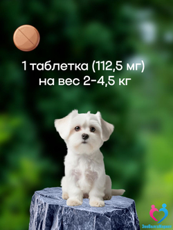 Рабектра 500 мг жевательная таблетка против блох и клещей для собак весом 10-20 кг, 1 таблетка