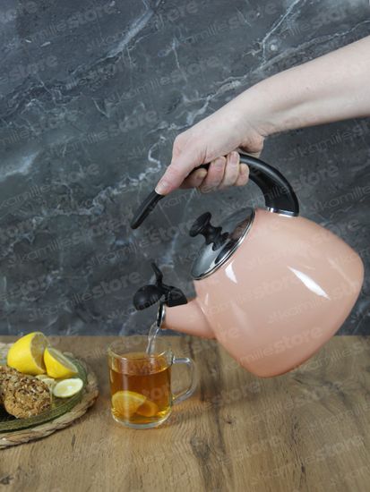 Чайник 2,5 л. эмалированный со свистком Kamille KM 1040B с черной бакелитовой ручкой