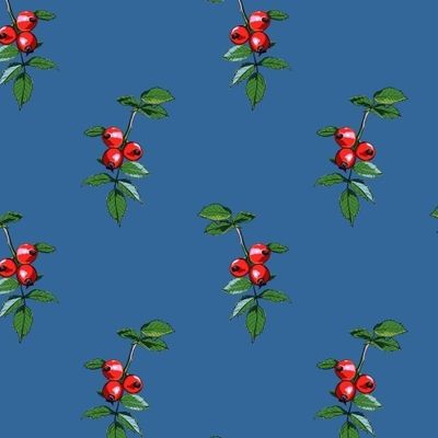 Ягоды шиповника на ветке. Яркие красные плоды с зелеными листьями на синем фоне