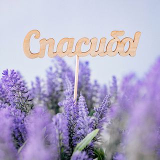 Топпер 