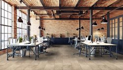 Линолеум полукоммерческий Profi Strong Plus Vardo 2, 2,5х30м (рулон)