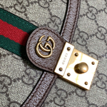 Gucci Ophidia