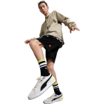 Шорты Puma Downtown Shorts Tr Logo, 533043-01