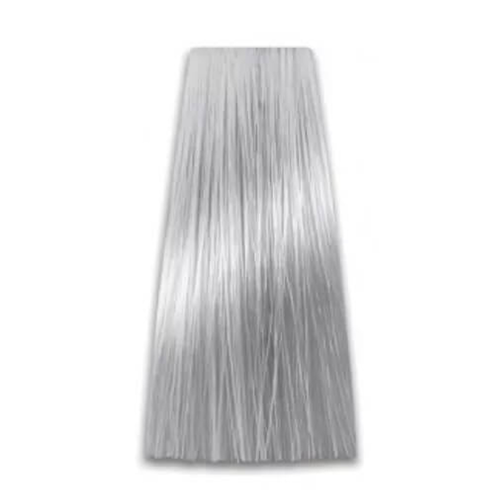 Prosalon Крем-краска для волос Intensis Color Art интенсивный пепельный блондин 10/11, 100 гр