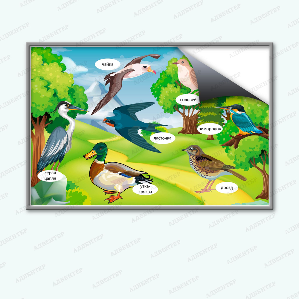 Комплект развивающий Природа: Перелётные птицы 2185