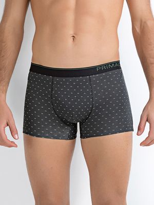 Мужские трусы B221 Boxer Primal