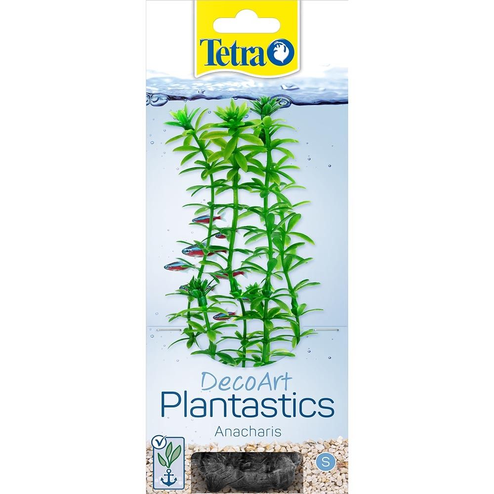 Tetra Anacharis 1 (S) Растение аквариумное &quot;Анахарис&quot; 15 см