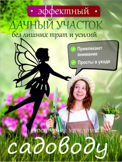 Фея острокрылая 1шт черная