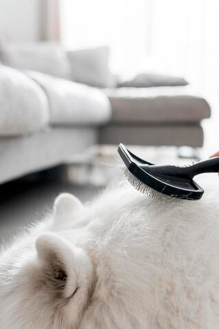 Химчистка кухонного уголка