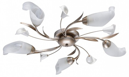 Потолочная люстра MW-Light Восторг 19 242016205