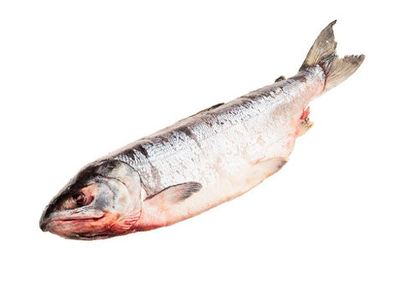 Кета дальневосточная замороженная с головой~2кг