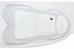 Акриловая ванна Royal Bath SHAKESPEARE RB652100K 170х110 белая