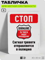 Табличка для частной территории "Стоп, сигнал тревоги", на дом, для участка, организаций и частных территорий, предупреждающая, 40х30 см, Silver Plane x Айдентика Технолоджи