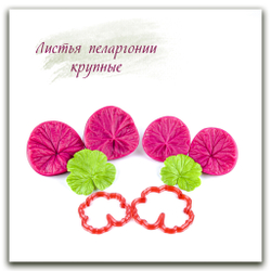 Листья пеларгонии крупные (герани)
