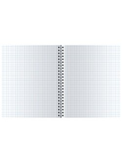 Набор тетрадей 2 штуки, 80л., А5, клетка на гребне Животные (Т80спкГЛ_26757)